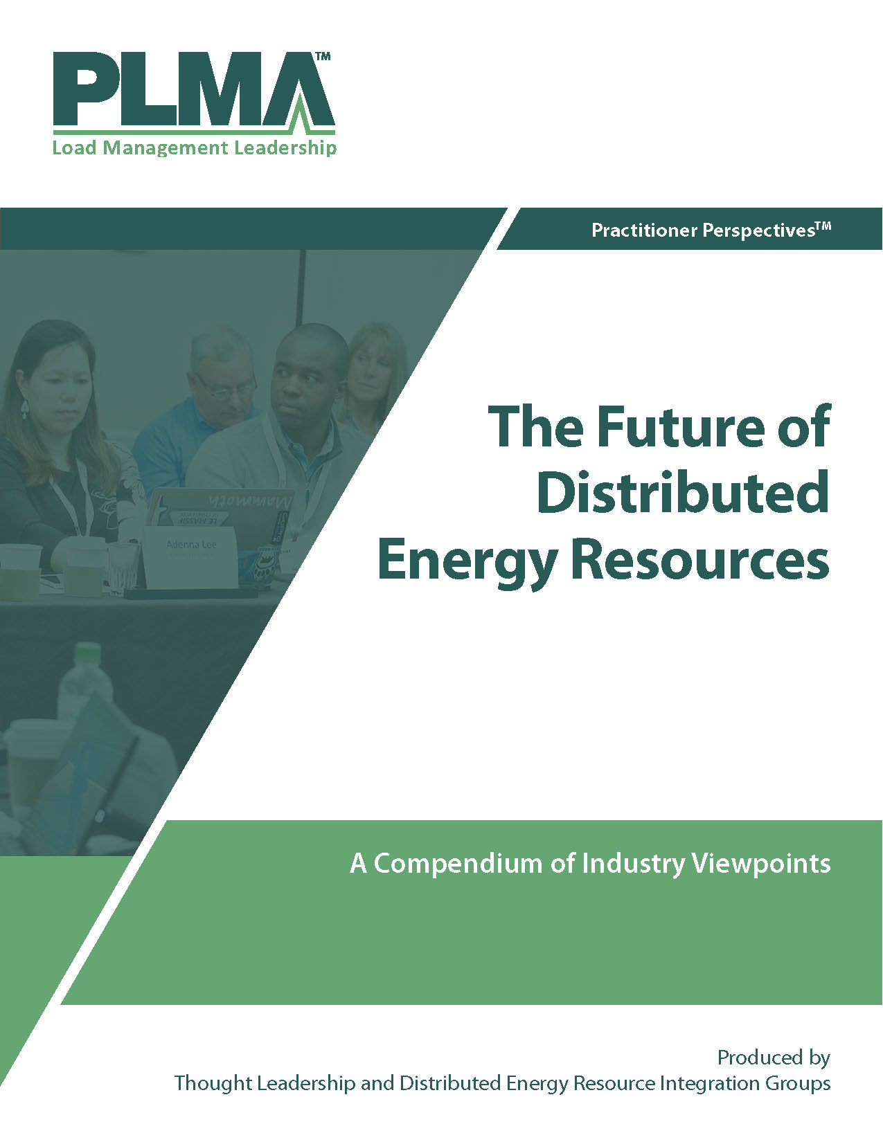 The Future of Distributed Energy Resources cover