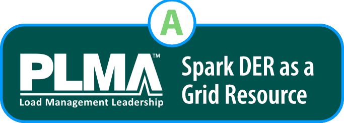 Spark DER as a Grid Resource