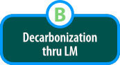 Decarbonization through LM